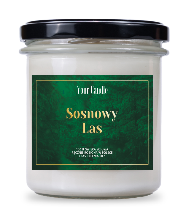 sosnowy las.png